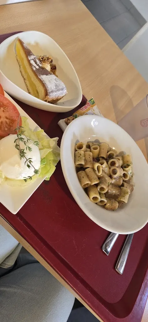 Luciana Palma_Isola 12 - Lippo_Calderara di Reno_review