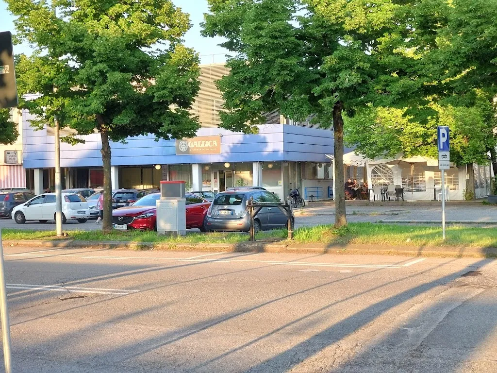 Fredrik Lürén_Ristorante Pizzeria La Gallica_Campogalliano_recensione