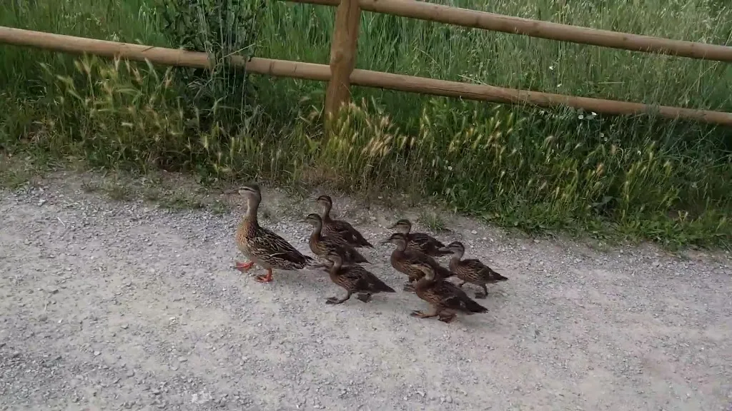 Ristorante Laghi_Campogalliano_slider_image_2