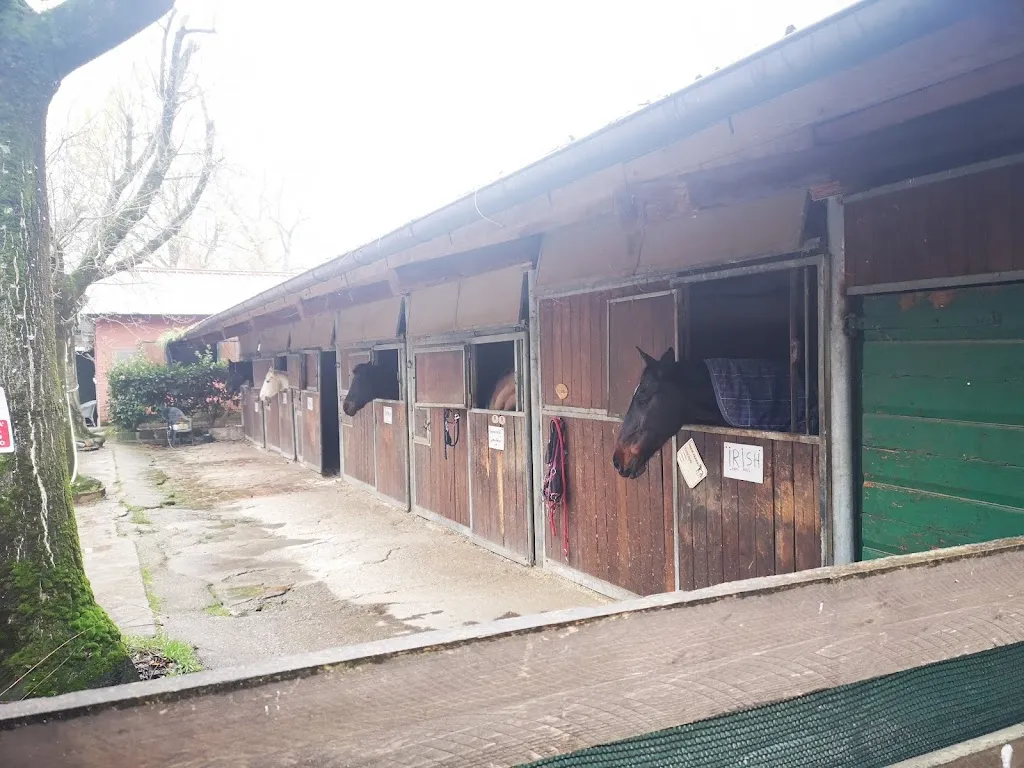 David G. K._Ristorante Curiel_Campogalliano_recensione