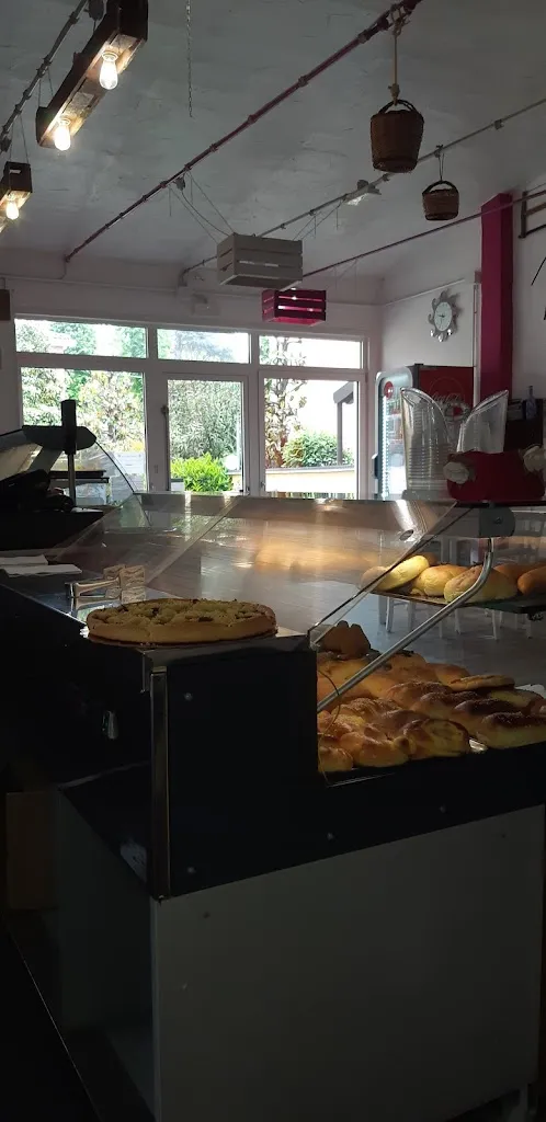 Heny Plutarco_Il Mandorlo In Fiore_Campogalliano_review