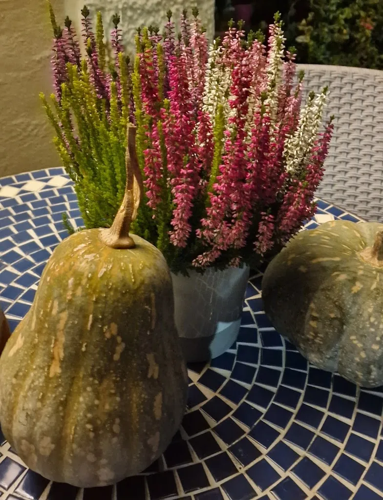 maxx Fer_Trattoria Paraboschi Rosanna_Carpaneto Piacentino_review