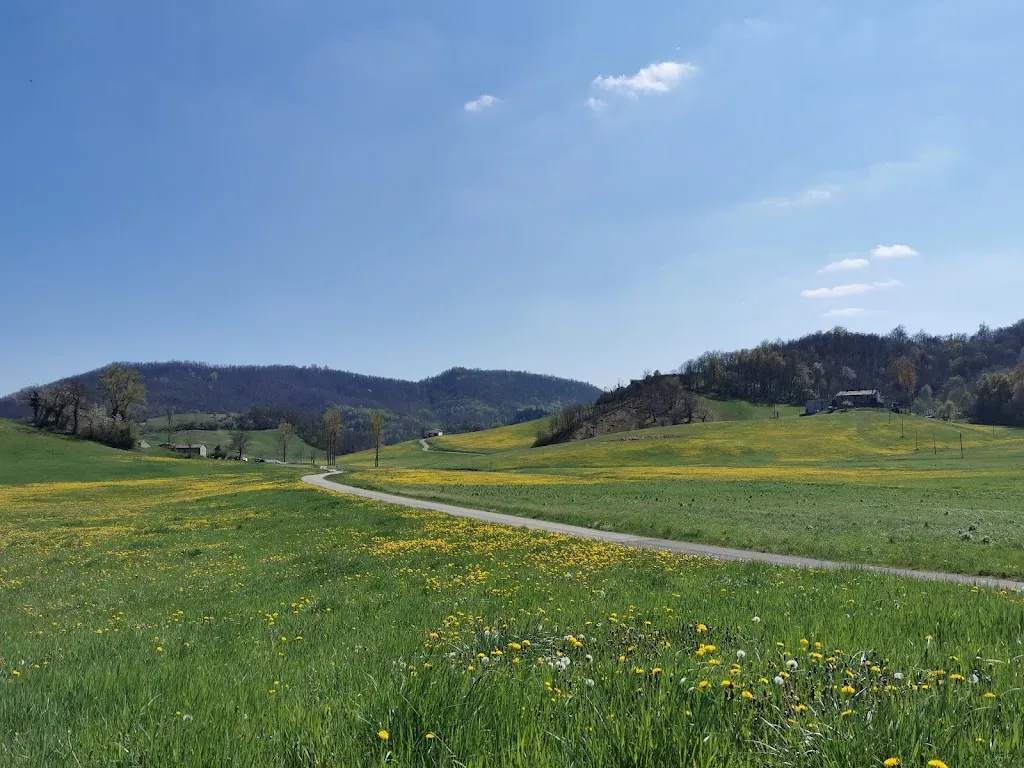 Athena Michaelides_Cà di N_Castel d'Aiano_review