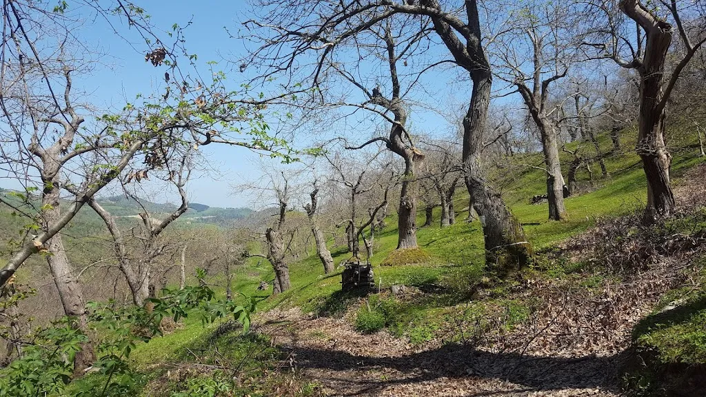 Giacomo Garuti_Le Selve Castel Del Rio Complesso Turistico_Castel del Rio_recensione