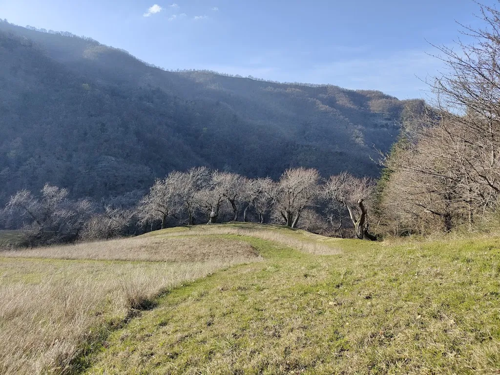 Federica Orlandi_Le Selve Castel Del Rio Complesso Turistico_Castel del Rio_recensione