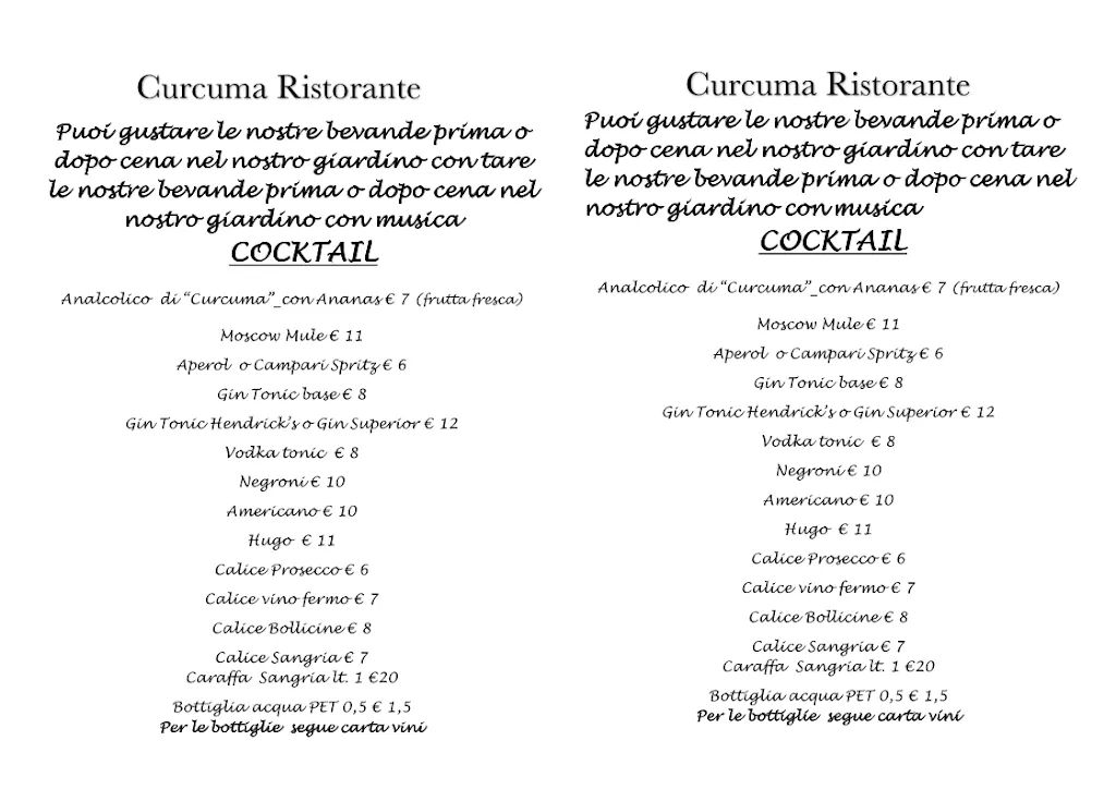 Menu_Ristorante Curcuma_Carpi Centro_immagine_3