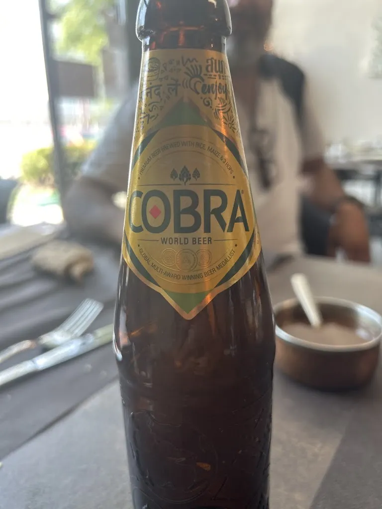 Orion's Universe_Tandoori_Carpi Centro_review