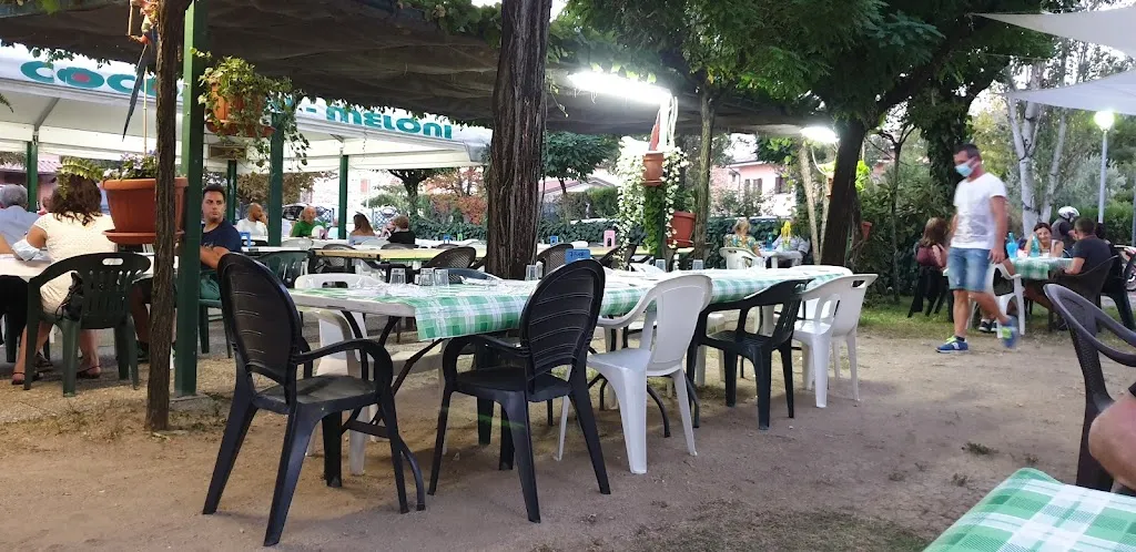 Coco verde_Casalgrande_slider_image_1