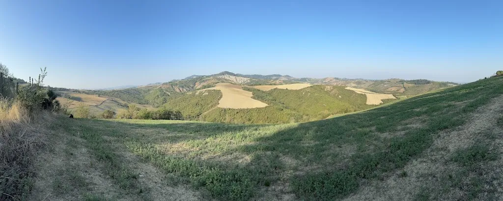 Natasha Walker_Osteria da Cesare e Locanda_Castel Guelfo di Bologna_review