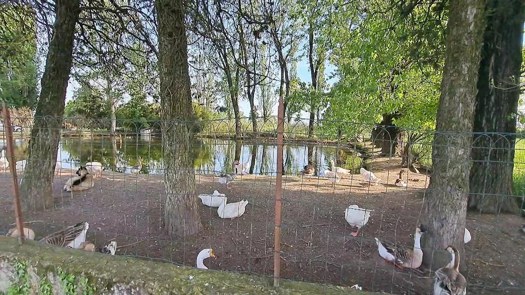 Lo Chalet del Gallo_Castel San Giovanni_slider_image_2