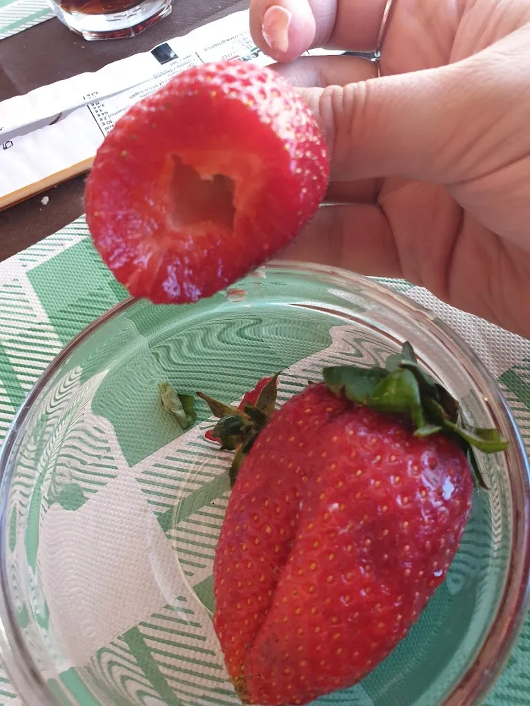 Menu_Bar Trattoria Il Beccaccino_Castelnovo di Sotto_immagine_9