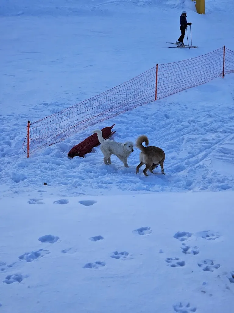 Giulia Orfei_Rifugio 2027 Chalet Montefreddo_Ovindoli_review