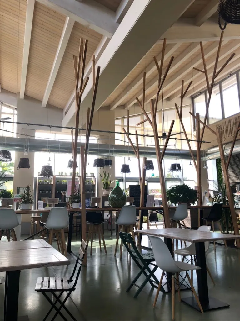 Ana Maria Velez_Joy coffee & green_Castelletto_review