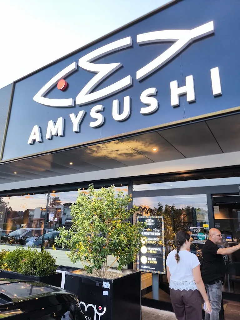 Amy Sushi Castelletto Sopra Ticino_Castelletto_slider_image_3