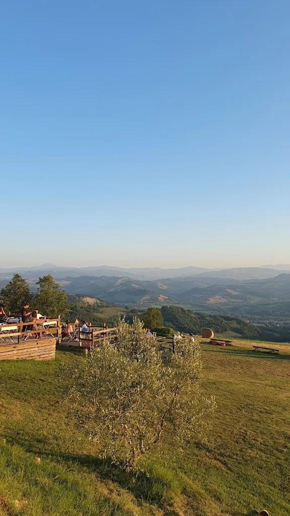 Francesco C._Circolo della Caccia Monte Vangelo_Castellarano_review