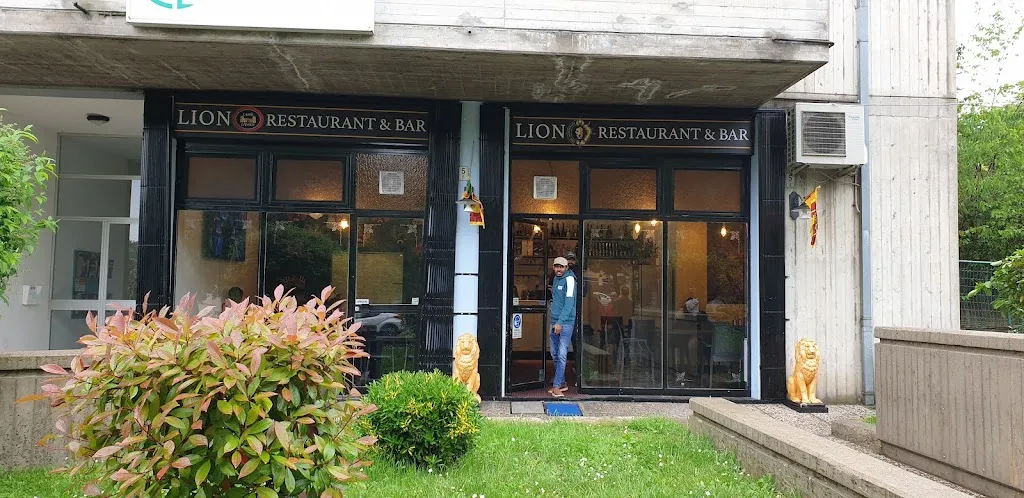Lion restaurant_Castelnuovo Rangone_slider_image_1