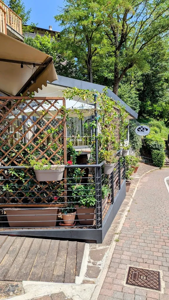 sauro bosi_Il Capolinea_Castelnovo ne'Monti_review