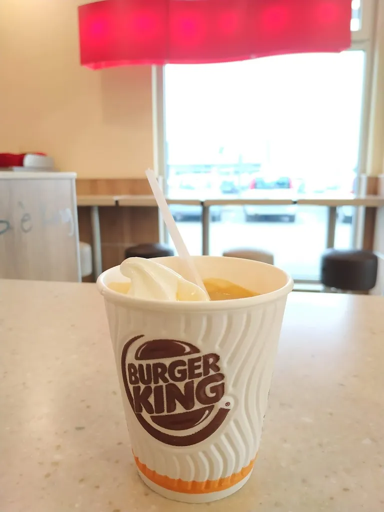 Menu_Burger king_Castenaso_immagine_9