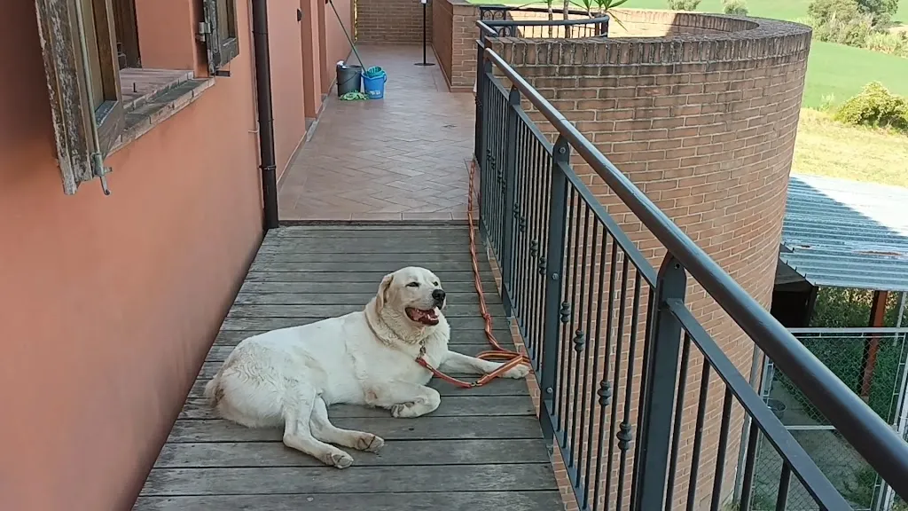 Farmhouse La Pecora Nera_Cerasolo_slider_image_2