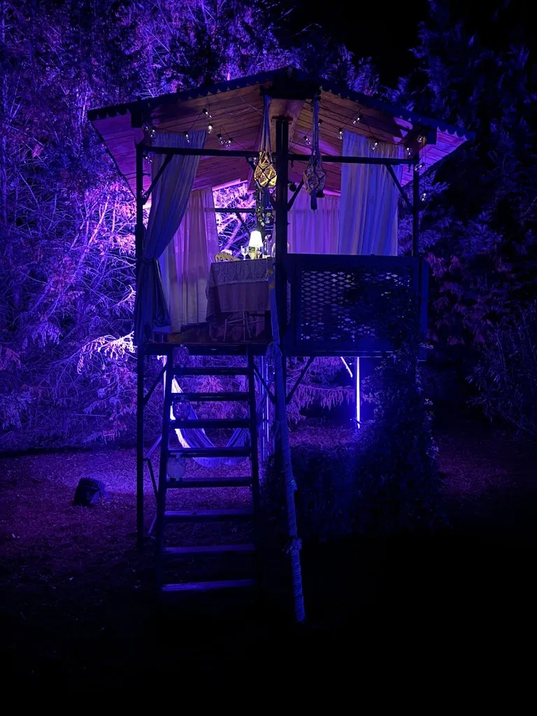 Mirko Desio_Pitocca - New Classic Restaurant_Cavezzo_review