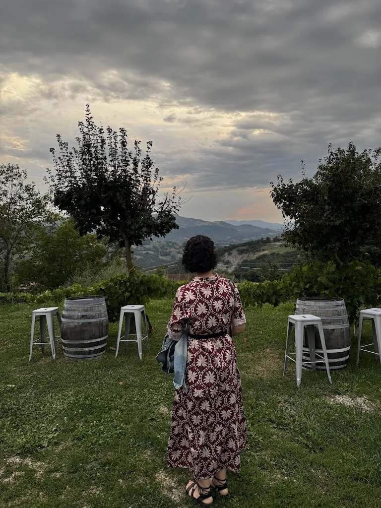 Federico Fantuzzi_La Villa_Ciano d'Enza_review