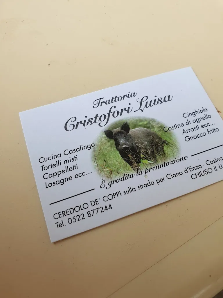 simona pioli_Trattoria Cristofori_Ciano d'Enza_review