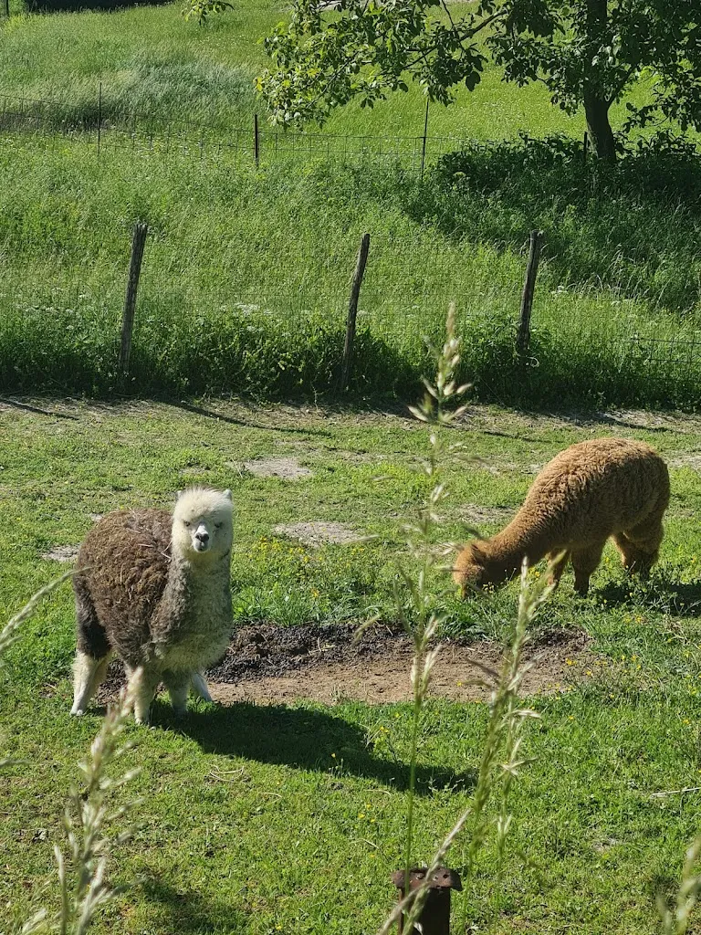 Trattoria Cristofori_Ciano d'Enza_slider_image_3