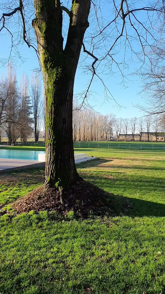 Agriturismo Petrini Il Castello restaurant in Civitella di Romagna