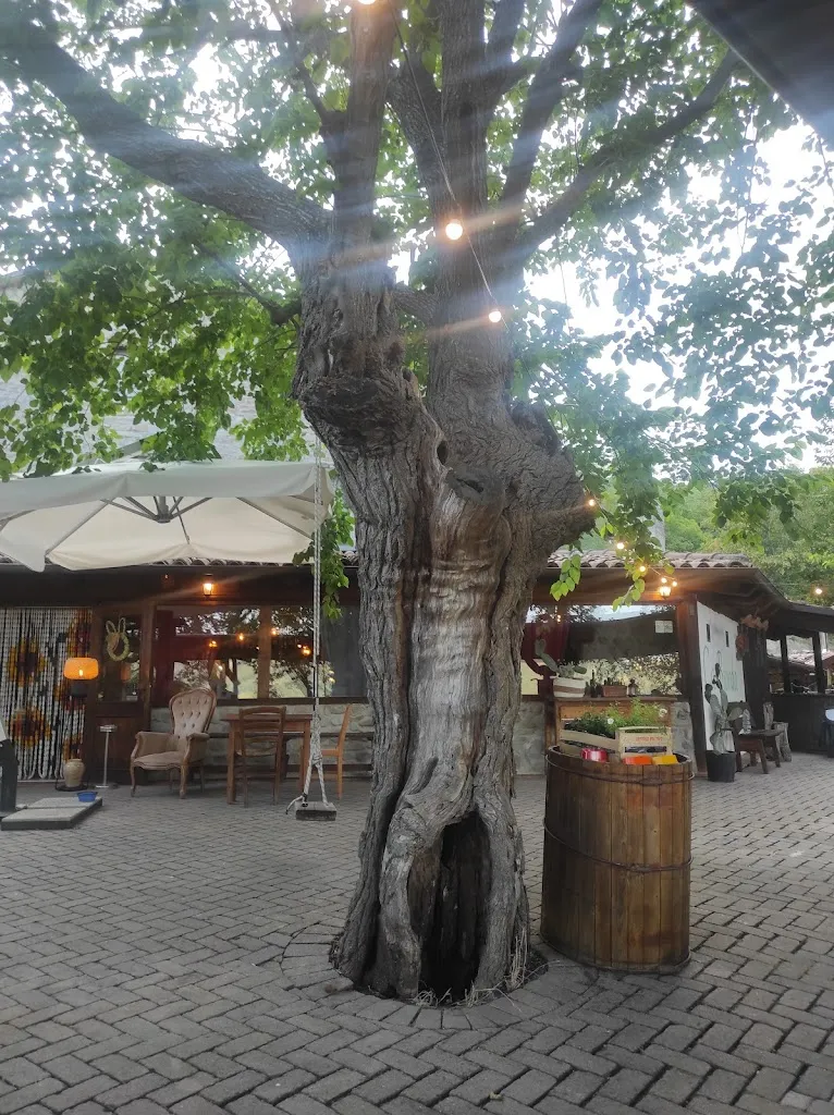 Matteo Serra_Agriturismo Cà Bionda_Civitella di Romagna_review