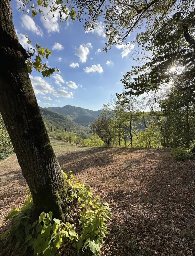 Borghetto Santo Stefano al Girone restaurant in Civitella di Romagna