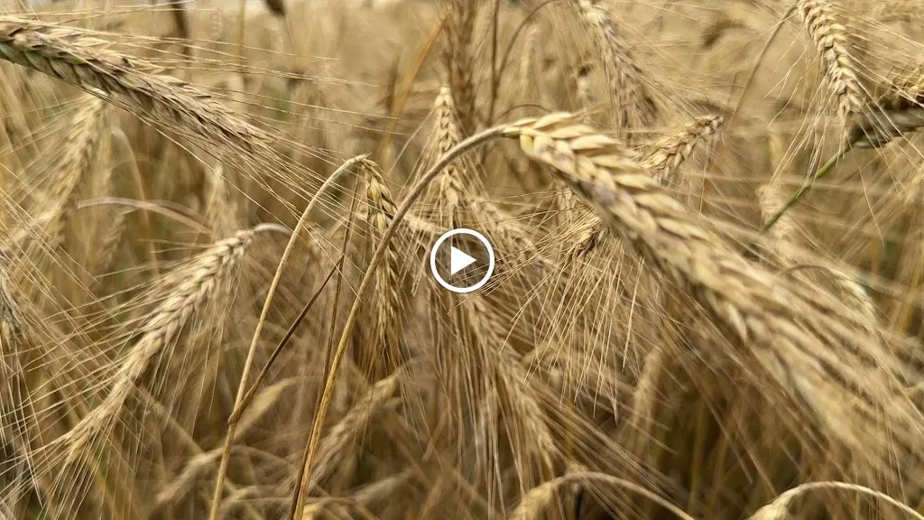 Borghetto Santo Stefano al Girone_Civitella di Romagna_slider_image_2