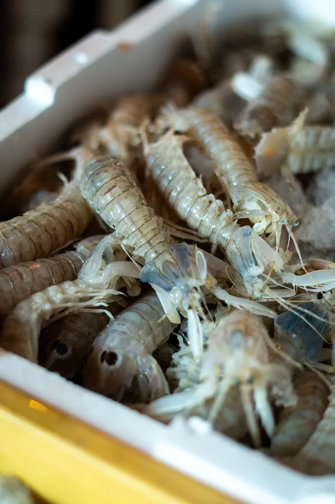 Trebien_Cesena_slider_image_2