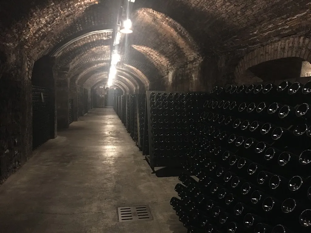 VINAE Franciacorta Restaurant restaurant in Colombaro