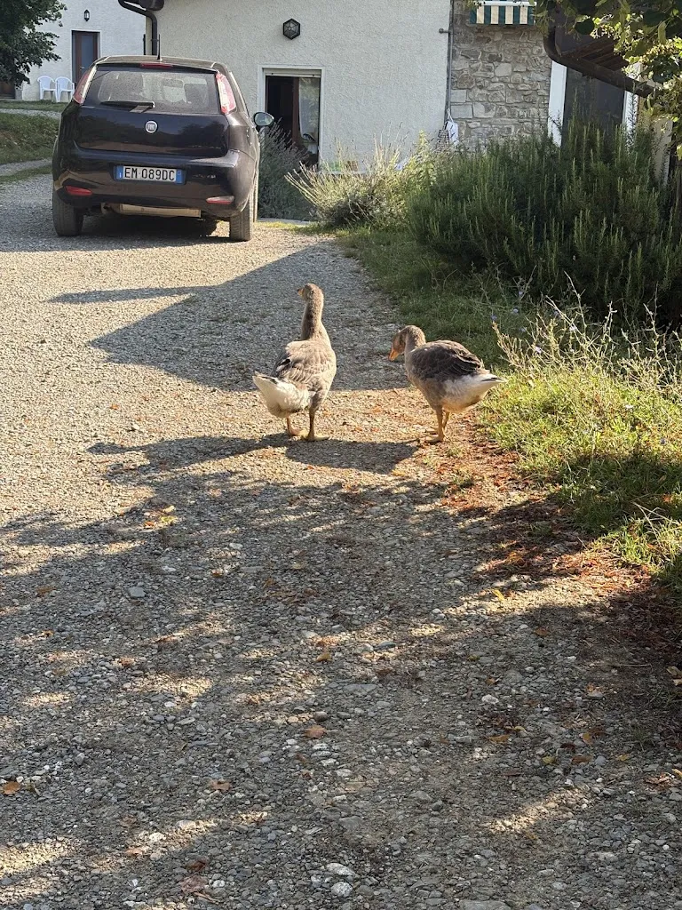 Stefano Guarnieri_Agriturismo Le Carovane_Compiano_review