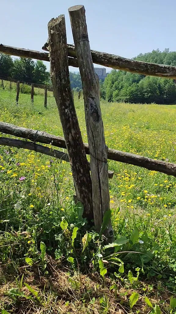 Agriturismo Le Carovane_Compiano_slider_image_2