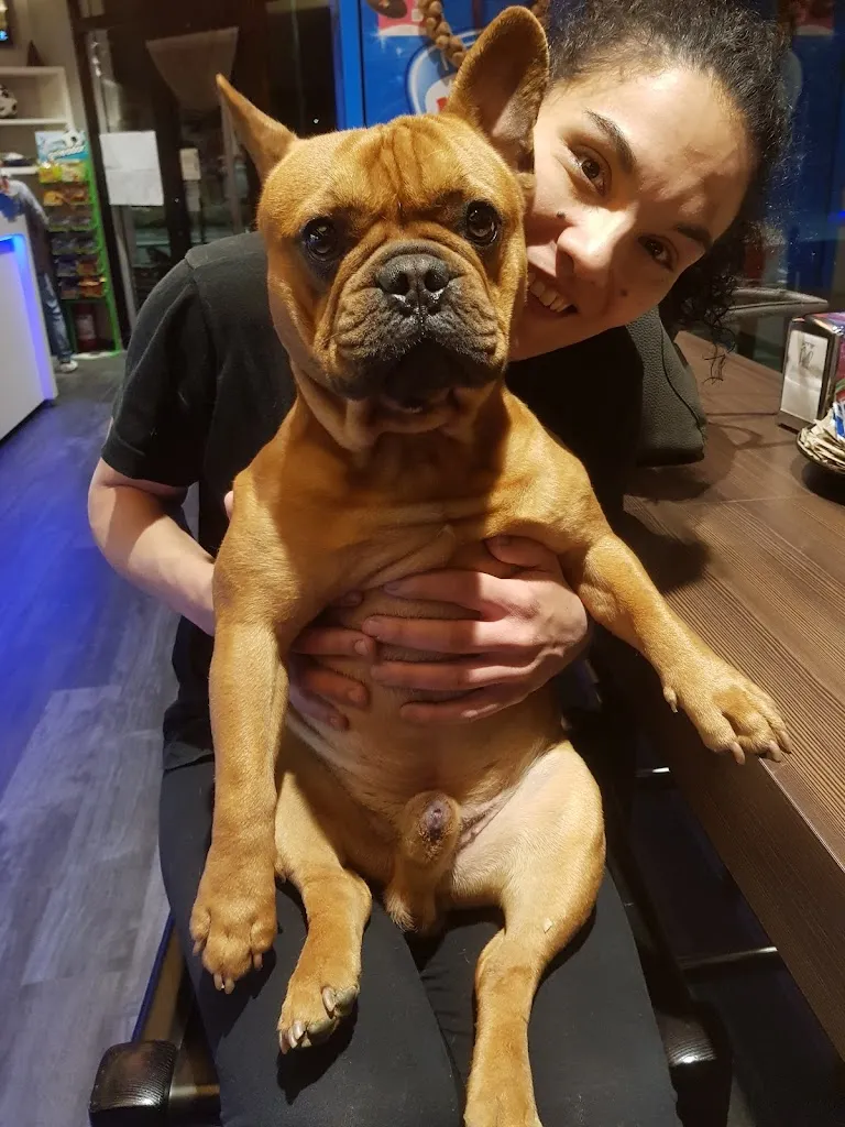 Bar concordia_Concordia sulla Secchia_slider_image_3