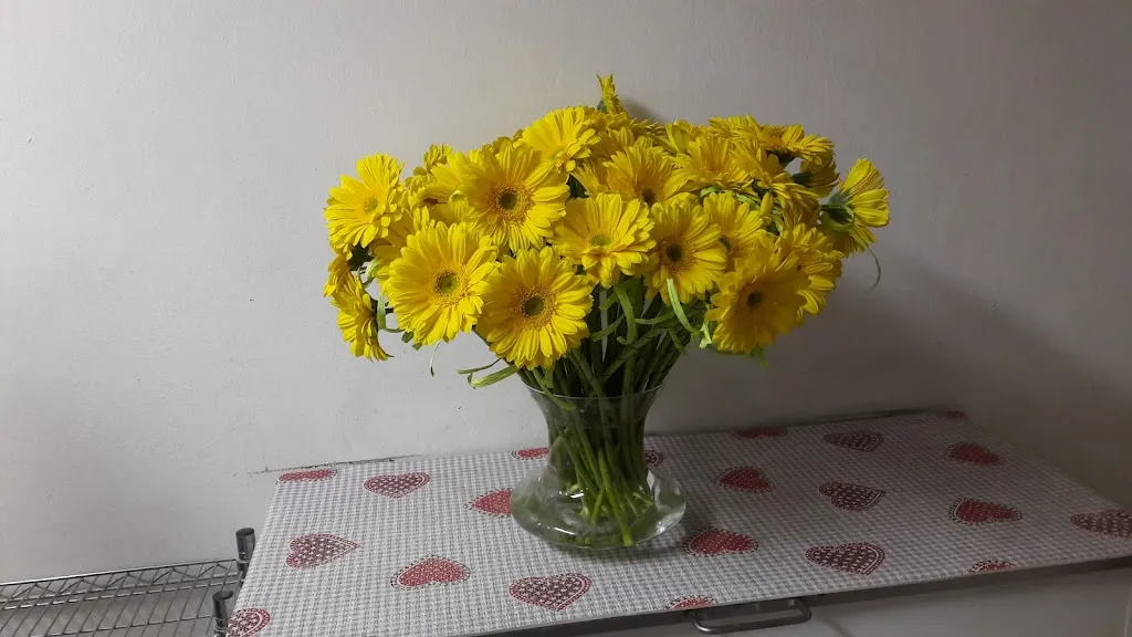 Pizzoriamo_Concordia sulla Secchia_slider_image_3