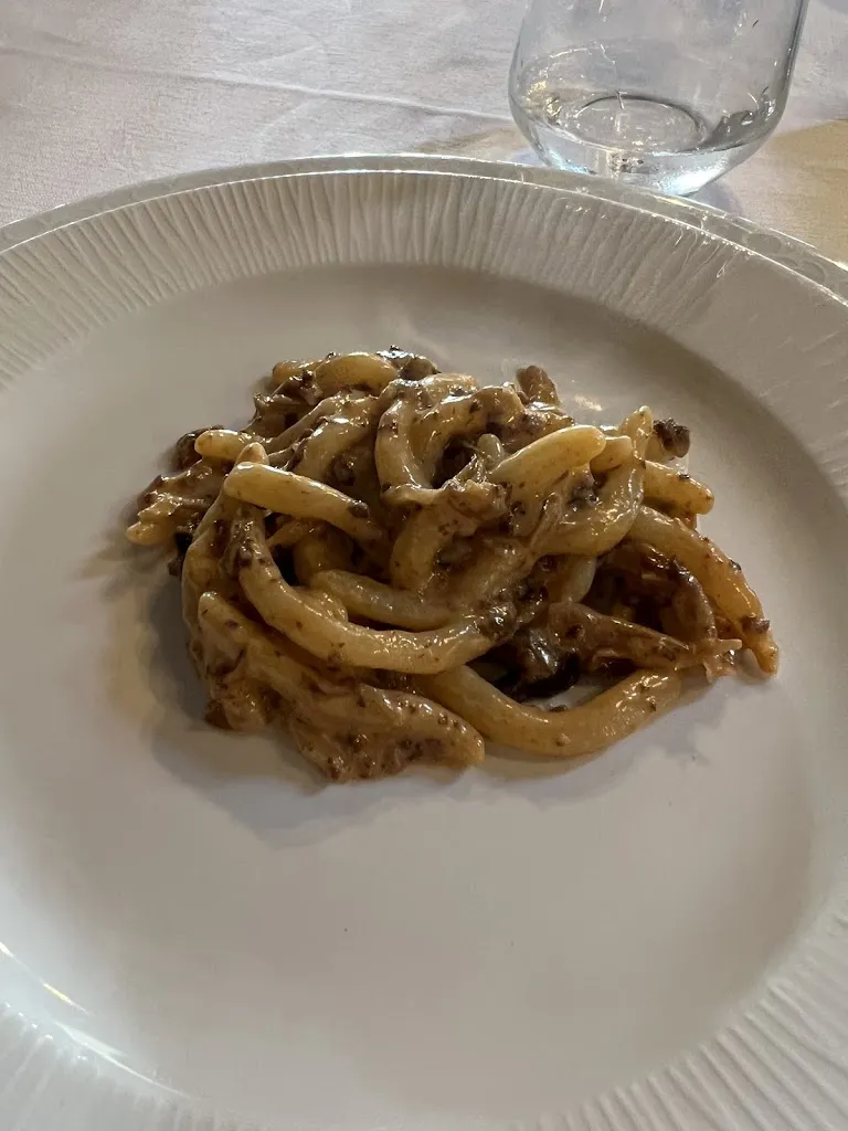 za_zsc_Cavalier Uliva_Copparo_review