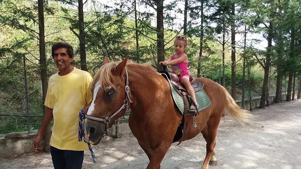 Agriturismo Fattoria degli Animali La Collinara_Comacchio_slider_image_2