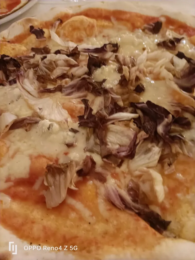 Alice nel paese delle meraviglie_Ristorante Pizzeria Palladio_Corpo Reno_review