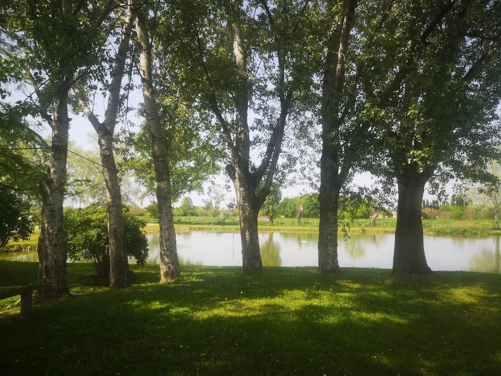 Lorenzo Mantovani_LAGO CLAUDIA Bar Ristorante Pesca Sportiva_Corpo Reno_review