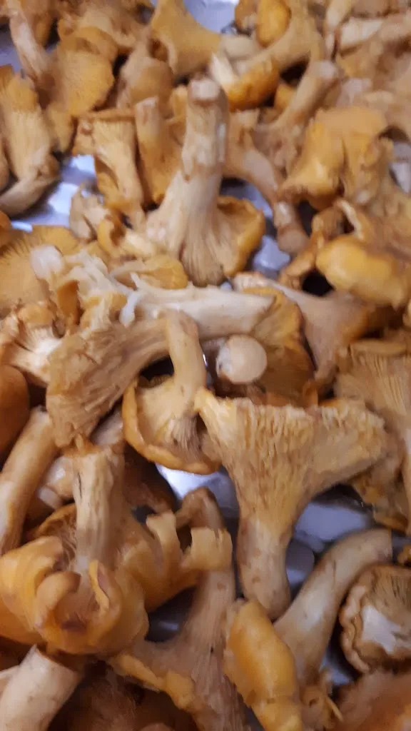 Menu_Ristorante Cavalieri Ducati_Corpo Reno_image_5