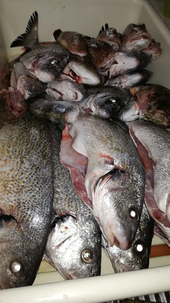 Menu_Trattoria di Pesce da Mario_Ortona_immagine_5