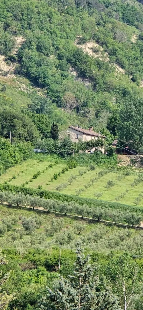 Selvincontro home restaurant_Dovadola_slider_image_3