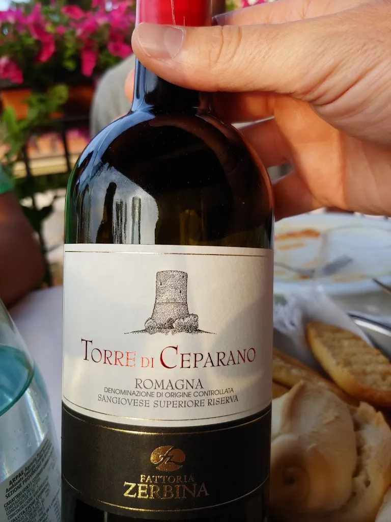 Menu_Ristorante Canè - Cucina Tradizionale Emiliano-Romagnola a Dozza_Dozza_immagine_6