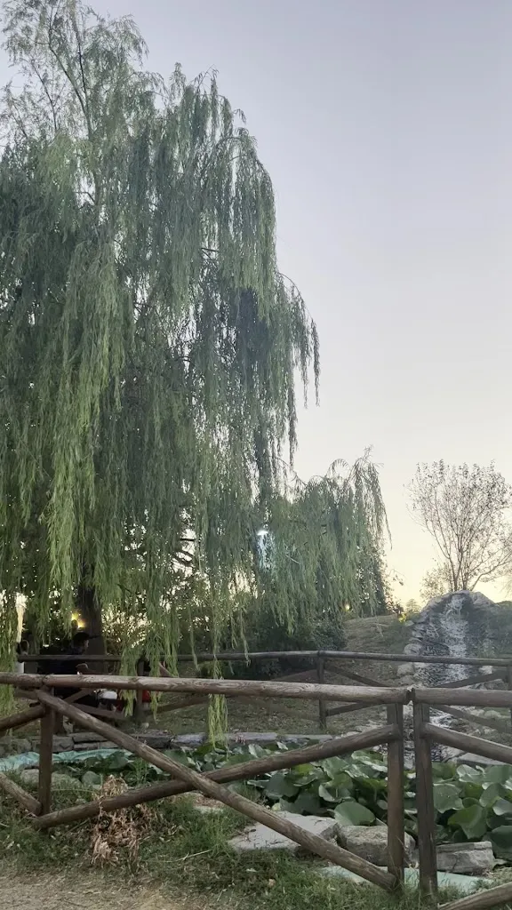 Shari Gmail_Ristorante Via Vai_Dozza_review