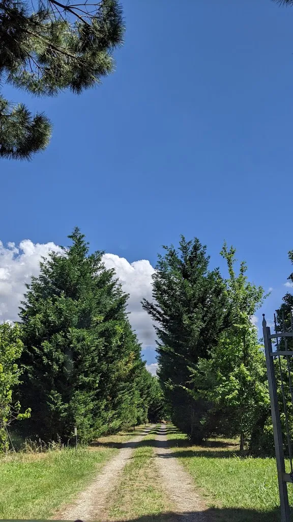 Eugenia Vallini_Agriturismo Villa Buontempo_Dozza_review