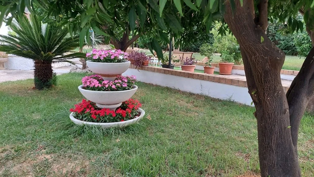 Domenico L_Il Giardino degli Aranci - Trattoria di Mare_Ortona_review