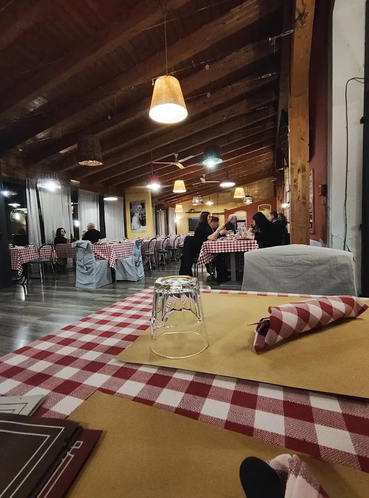 Francesco Tognolo_Il Vizio Pizzeria Ristobar_Crevalcore_review