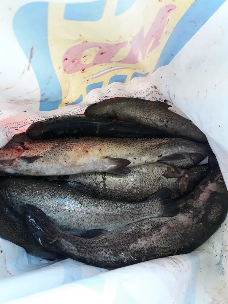 Menu_LIDO Fanano - Ristorante e bar_Fanano_image_7